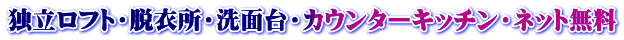 独立ロフト・脱衣所・洗面台・カウンターキッチン・ネット無料