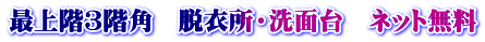 最上階３階角　脱衣所・洗面台　ネット無料